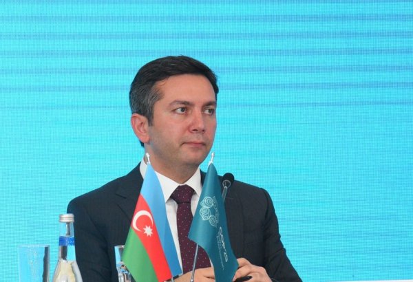 Details of Azerbaijan's initiatives at COP29 revealed