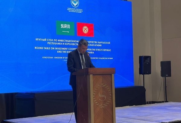 Kyrgyzstan, Saudi Arabia to develop energy projects for signing