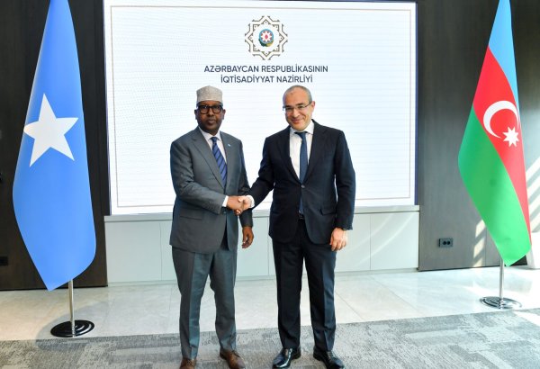 Azerbaijan, Somalia mull over energy partnership prospects (PHOTO)