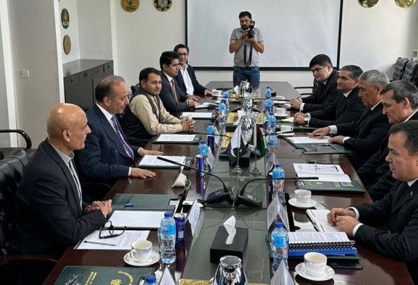 Turkmenistan and Pakistan discuss details of TAPI project promotion