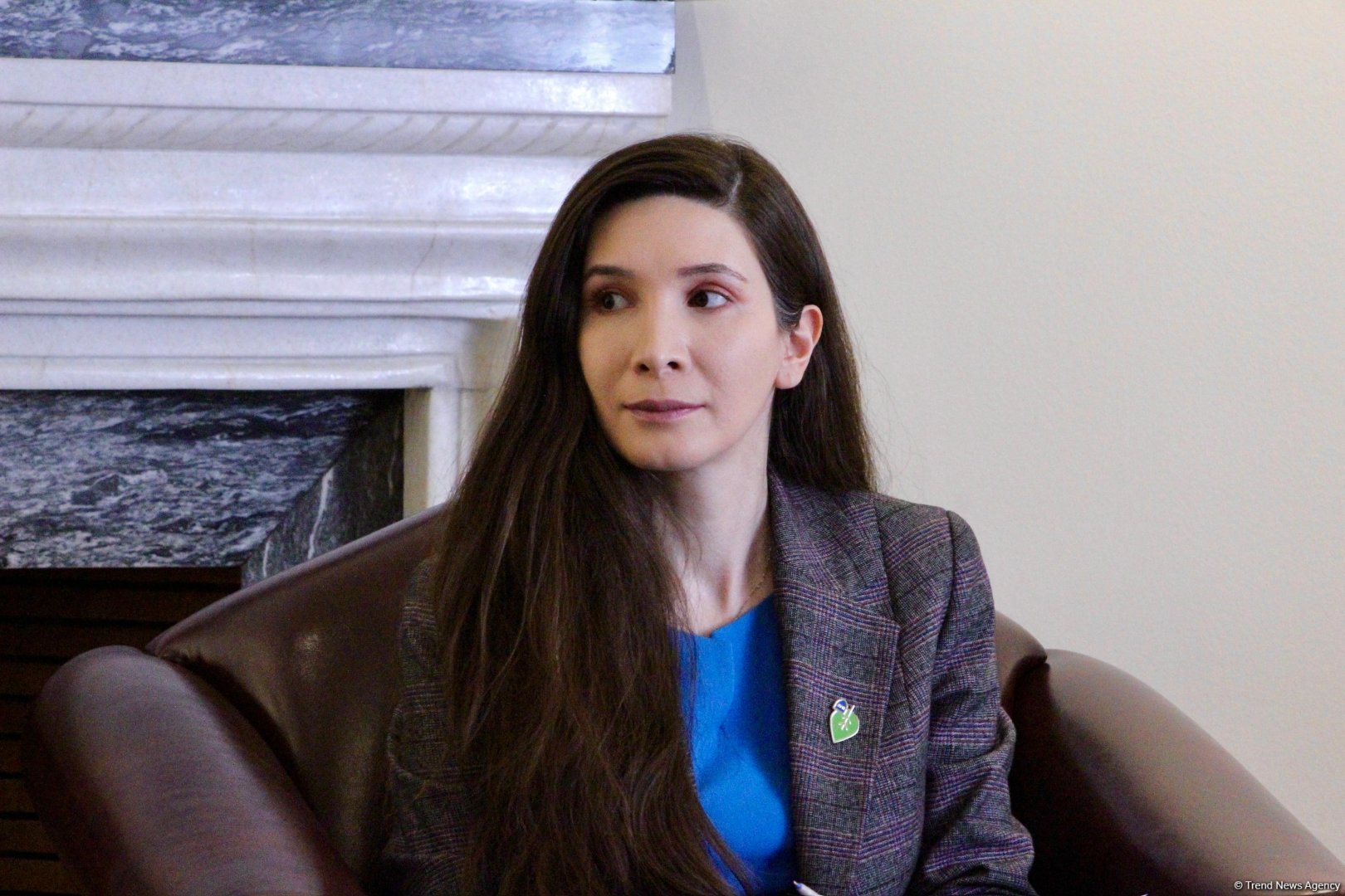 Saudi Arabia, Azerbaijan seek new energy investment opportunities - Ambassador (Exclusive interview) (PHOTO)