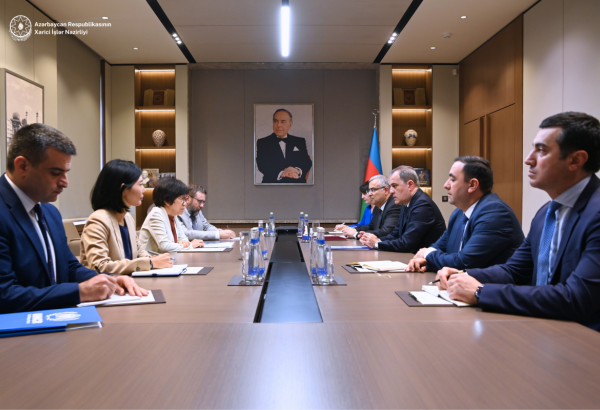 Azerbaijani FM exchanges views with representative of UN High Commissioner for Refugees