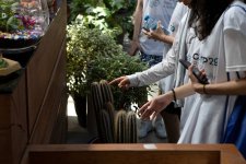 Волонтёры COP29 провели в Баку экологическую акцию (ФОТО)