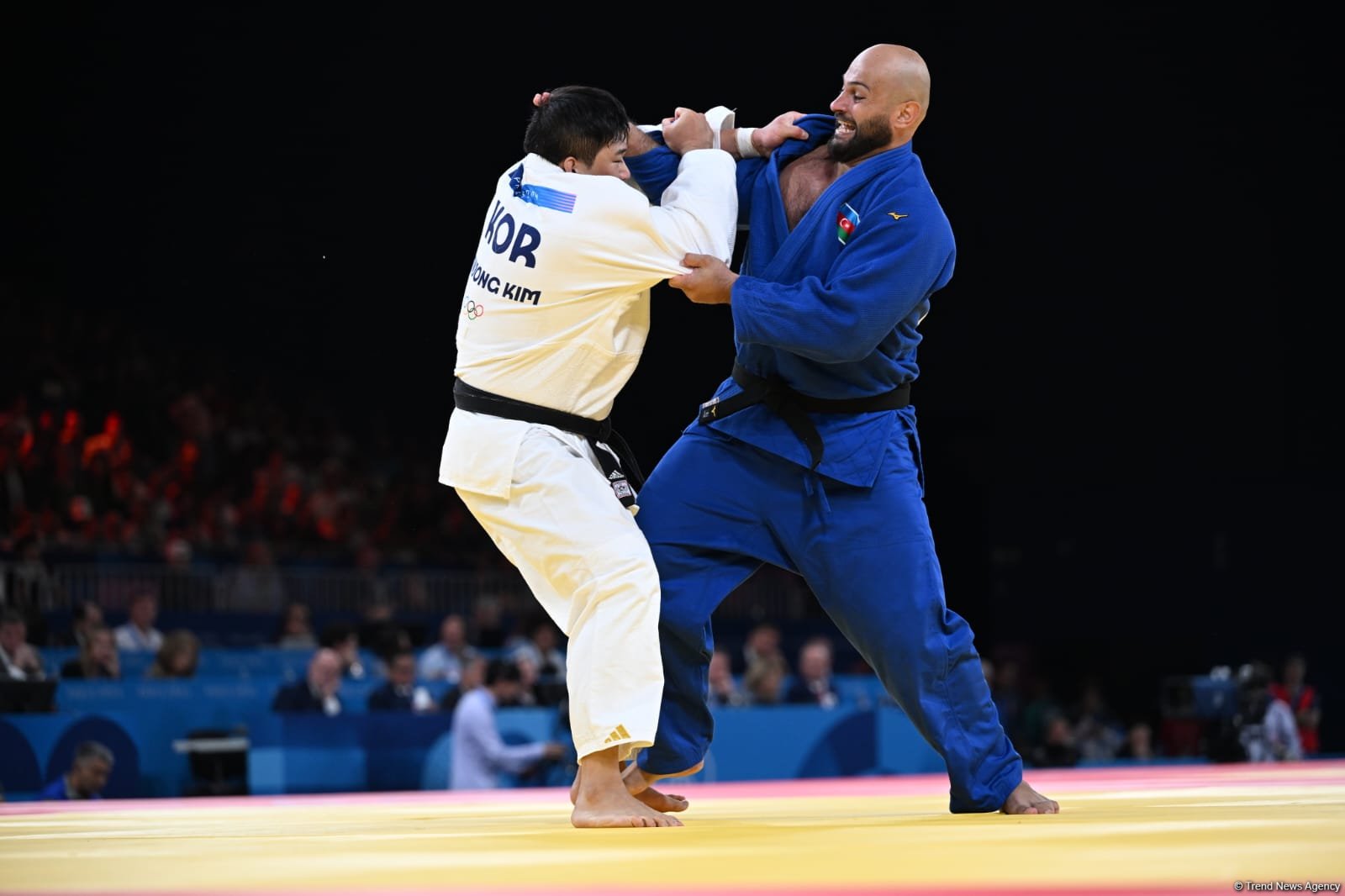 Azerbaijani judoka loses in quarterfinals at Paris Olympics (PHOTO)
