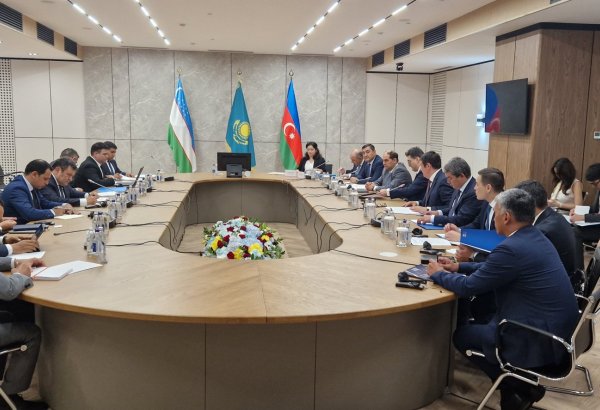 Baku, Astana, Tashkent seal deal after powwow on linking energy systems