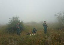 Предотвращена попытка ввоза наркотиков из Ирана в Азербайджан (ФОТО)