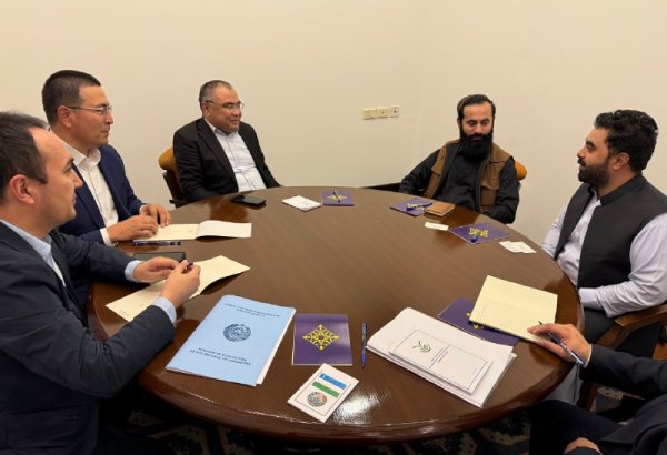 Uzbekistan, Afghanistan come to terms on cotton co-cultivation