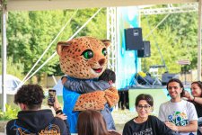 Успешно продолжается фестиваль "Yay Fest", объединяющий азербайджанскую молодежь (ФОТО)