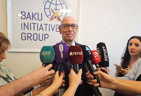 Baku Initiative Group backs colonized countries to gain independence - ambassador