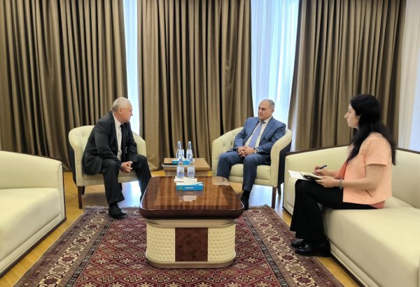 New Azerbaijan Party's central office hosts meeting with CIS observation mission head