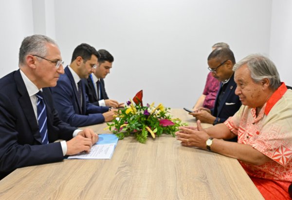 COP29 president, UN SecGen talk island states' climate challenges