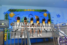 Heydar Aliyev Foundation organizes events for martyrs' children (PHOTO)