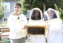 Vice-President of Heydar Aliyev Foundation Leyla Aliyeva meets participants of “Young beekeeper" project in Gabala (PHOTO)