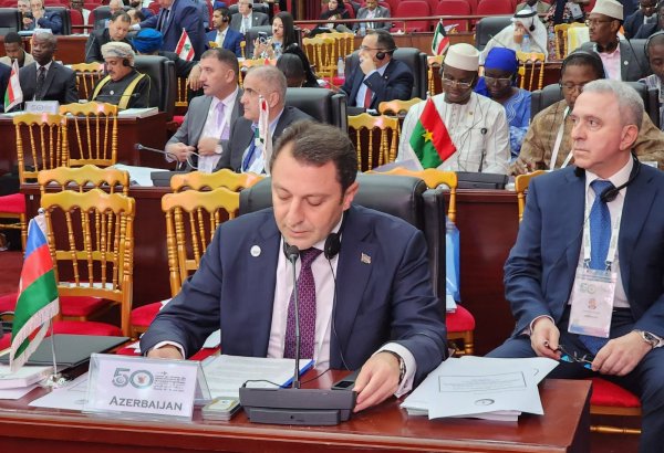 Azerbaijan attends 50th session of OIC council of foreign ministers (PHOTO)