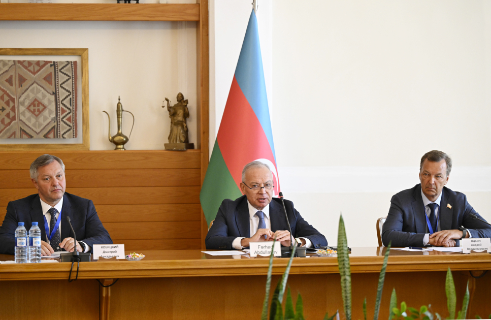 Constitutional Court held meeting with CIS PA observers