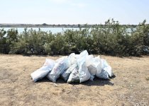 Heydar Aliyev Foundation VP Leyla Aliyeva joins clean-up action (PHOTO)