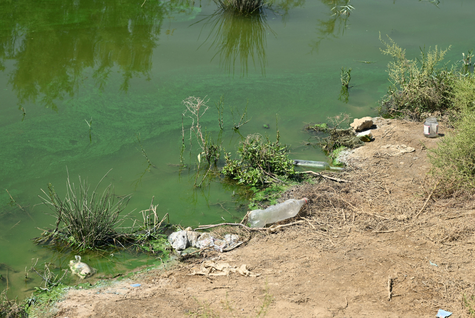 Heydar Aliyev Foundation VP Leyla Aliyeva joins clean-up action (PHOTO)