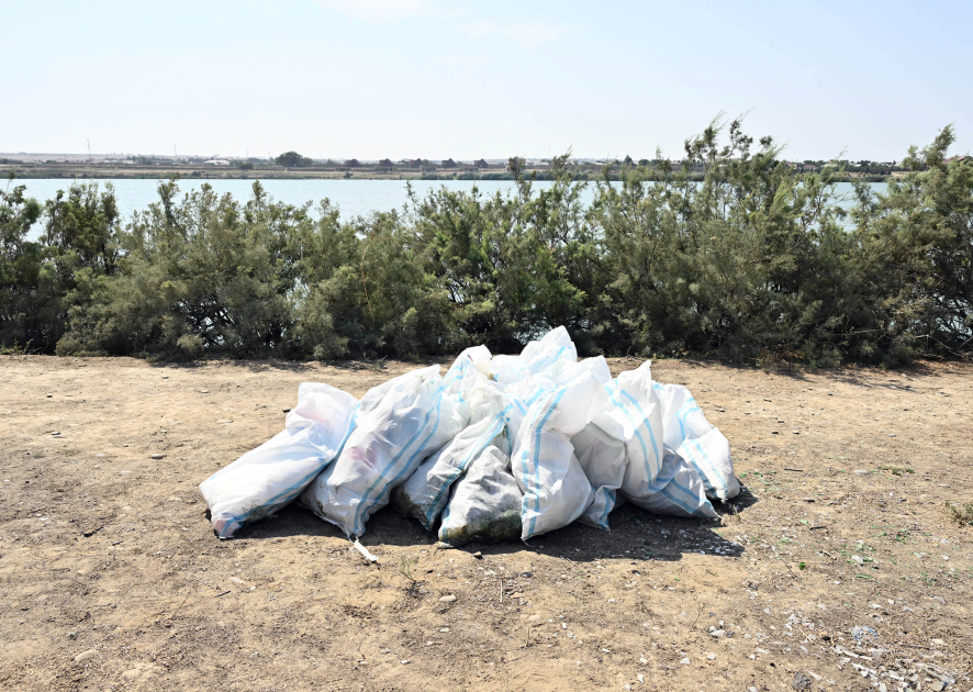 Heydar Aliyev Foundation VP Leyla Aliyeva joins clean-up action (PHOTO)