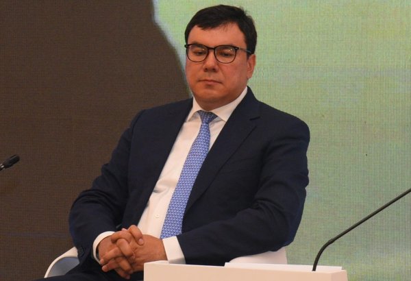 Central Asian countries to present their national climate plans at COP29 - minister