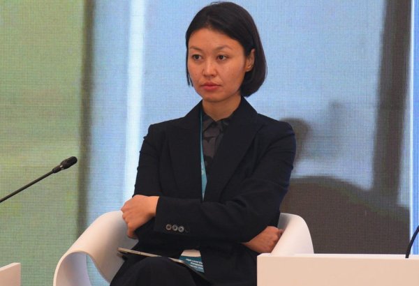 Kazakhstan preparing biannual report on climate transparency - presidential adviser