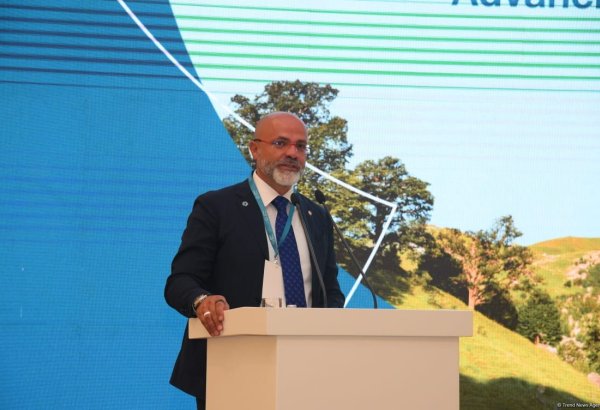 Italian delegation to pull out all stops to ensure successful COP29 - special envoy
