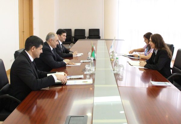 Turkmenistan, UN Human Rights explore expansion of co-op