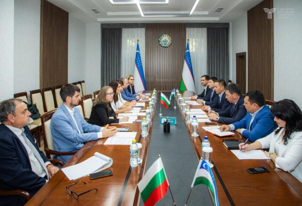 Узбекистан планирует увеличить грузоперевозки в ЕС через Болгарию по Среднему коридору