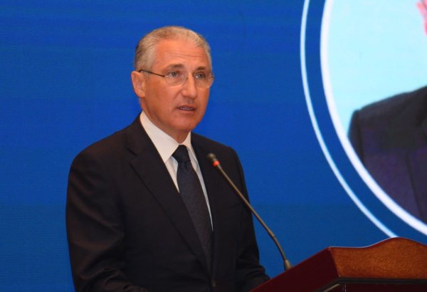 Azerbaijan on way of developing fresh climate strategy - COP29 president