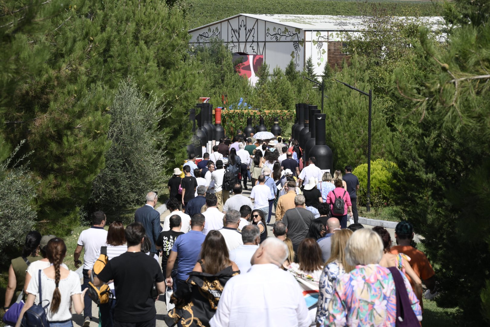 Grape and Wine Festival underway in Azerbaijan's Shamakhi (PHOTO/VIDEO)
