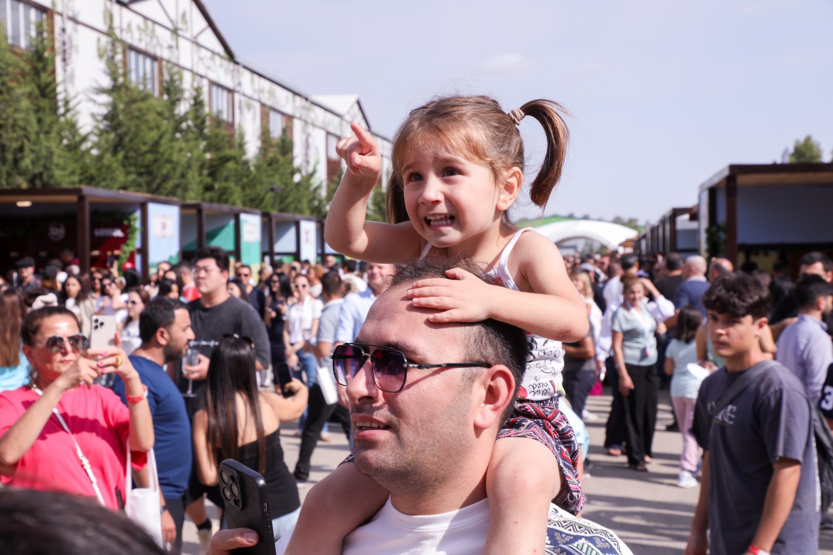 Grape and Wine Festival underway in Azerbaijan's Shamakhi (PHOTO/VIDEO)