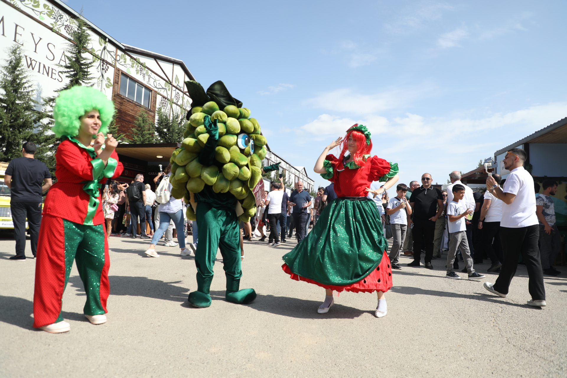 Grape and Wine Festival underway in Azerbaijan's Shamakhi (PHOTO/VIDEO)
