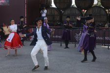 Grape and Wine Festival underway in Azerbaijan's Shamakhi (PHOTO/VIDEO)