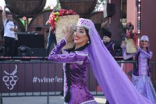 Grape and Wine Festival underway in Azerbaijan's Shamakhi (PHOTO/VIDEO)