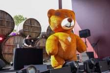 Grape and Wine Festival underway in Azerbaijan's Shamakhi (PHOTO/VIDEO)