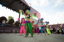 Grape and Wine Festival underway in Azerbaijan's Shamakhi (PHOTO/VIDEO)