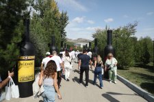 Grape and Wine Festival underway in Azerbaijan's Shamakhi (PHOTO/VIDEO)
