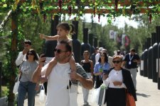 Grape and Wine Festival underway in Azerbaijan's Shamakhi (PHOTO/VIDEO)