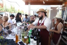 Grape and Wine Festival underway in Azerbaijan's Shamakhi (PHOTO/VIDEO)
