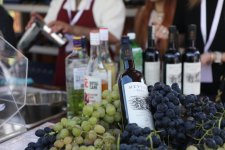 Grape and Wine Festival underway in Azerbaijan's Shamakhi (PHOTO/VIDEO)