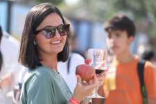 Grape and Wine Festival underway in Azerbaijan's Shamakhi (PHOTO/VIDEO)