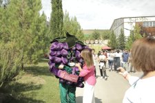 Grape and Wine Festival underway in Azerbaijan's Shamakhi (PHOTO/VIDEO)