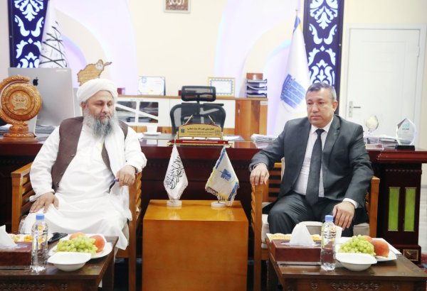 Turkmenistan, Afghanistan push forward on fiber-optic connectivity