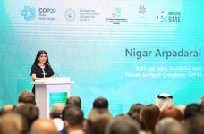 Green economy-embraced SME conference running in Azerbaijan (PHOTO)