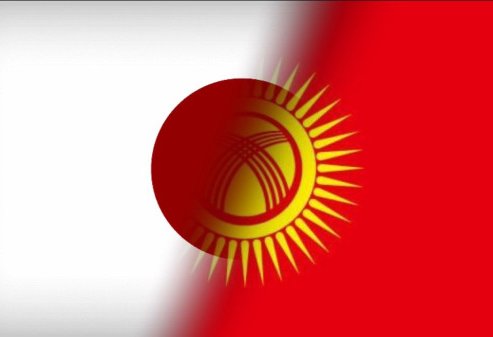Kyrgyzstan and Japan discuss agricultural value chain development