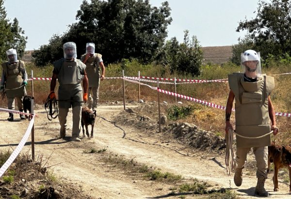 Hefty chunk of Horadiz village cleared of mines - ANAMA (PHOTO)