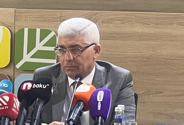 Ситуация с отходами в Азербайджане неудовлетворительная - минэкологии