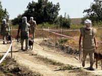 Hefty chunk of Horadiz village cleared of mines - ANAMA (PHOTO)