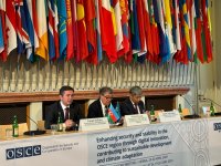 В Праге в рамках форума ОБСЕ прошло мероприятие, посвященное COP29 (ФОТО)