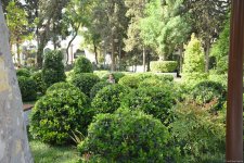 Shots from renovated "Khagani" Garden in Baku (PHOTO)  