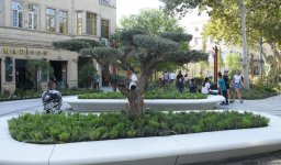 Shots from renovated "Khagani" Garden in Baku (PHOTO)  